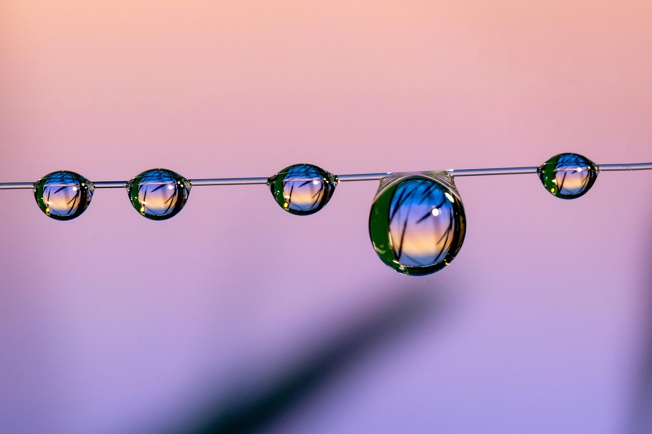 飞网ip实名账号：各平台股票开户