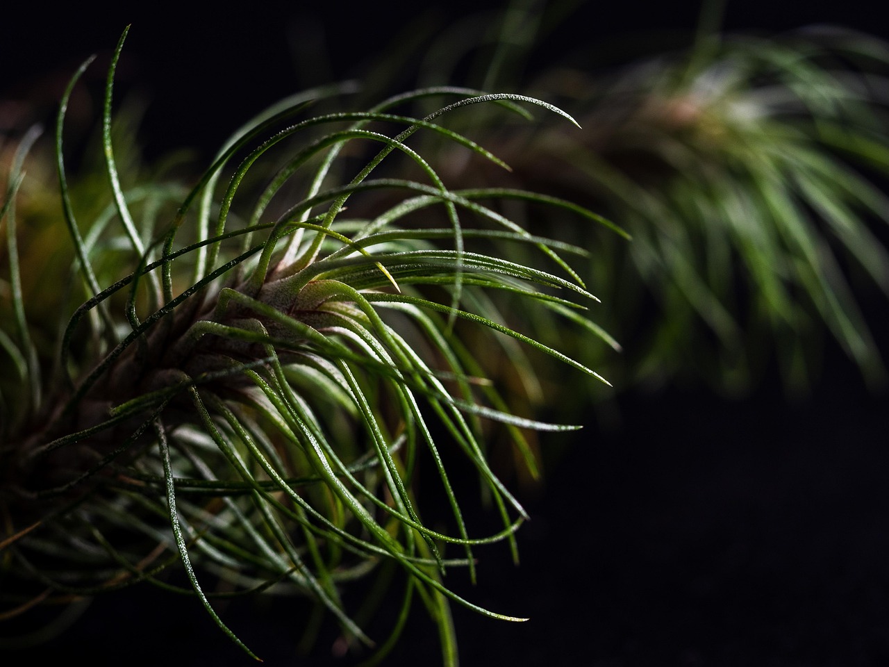 关于游戏技术支持的一些不透明问题;