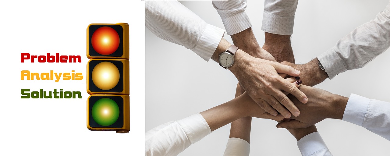 铁塔猫烟花葡萄珠(细):龙猫网app详情下载教程官方