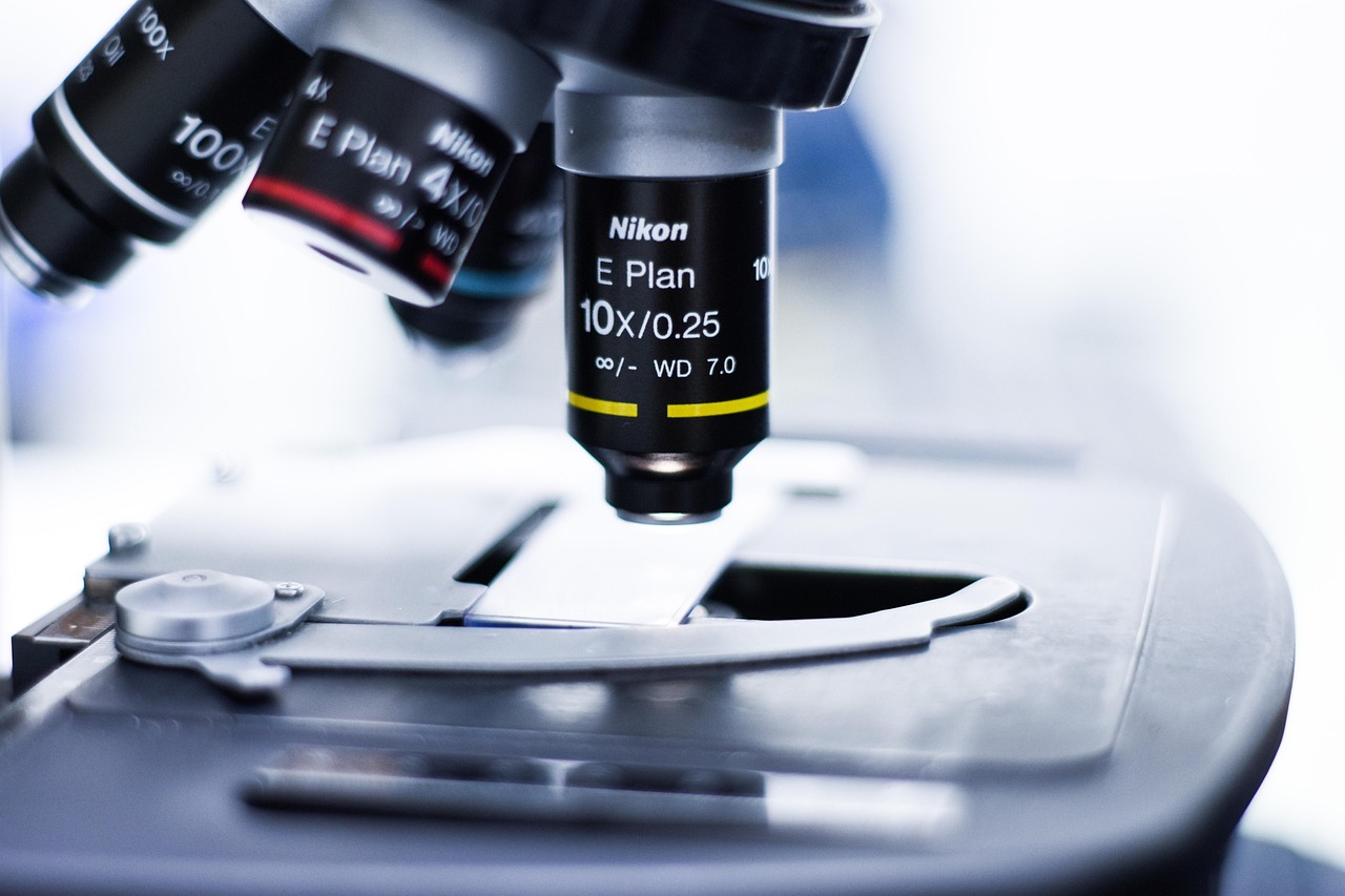 网络安全挑战：全面了解DDoS攻击的威胁